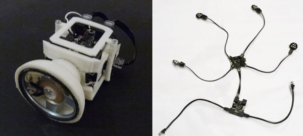 homunculus brain unit